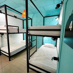Lolas Hostal, Habitacion Exclusiva Para Mujeres, 2 Camarotes, Precio Por Cama